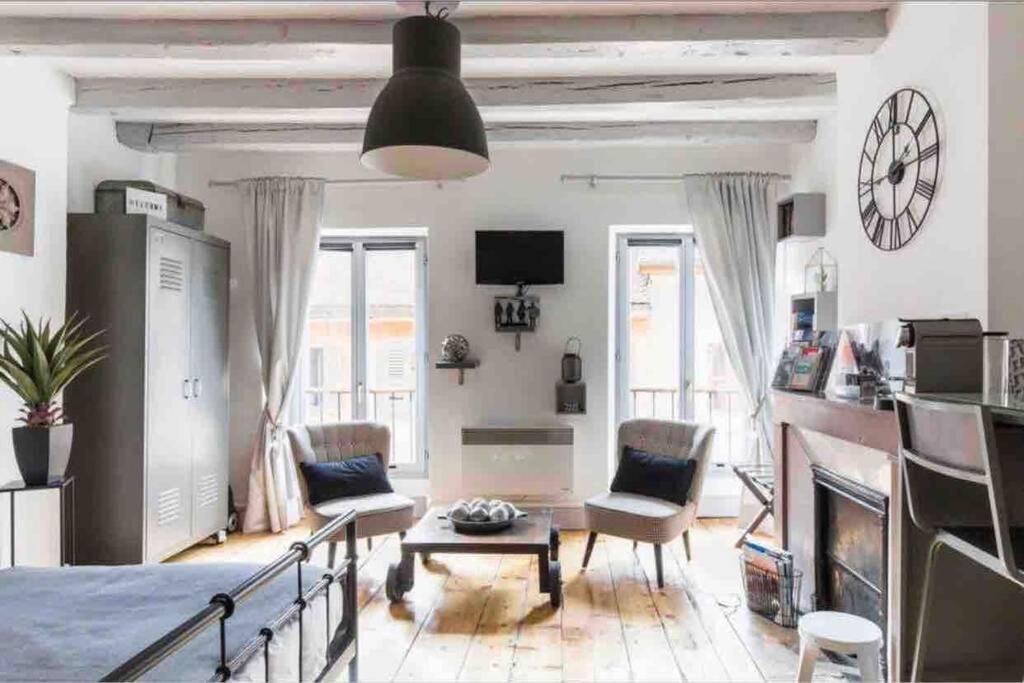 Au Grey D'Annecy, Studio Cosy Au Coeur De La Ville Esterno foto