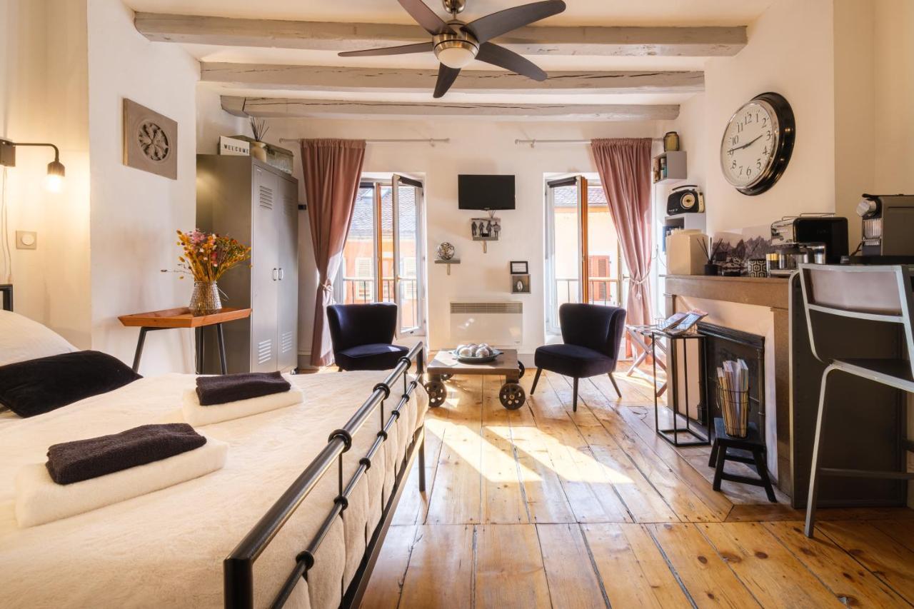 Au Grey D'Annecy, Studio Cosy Au Coeur De La Ville Esterno foto