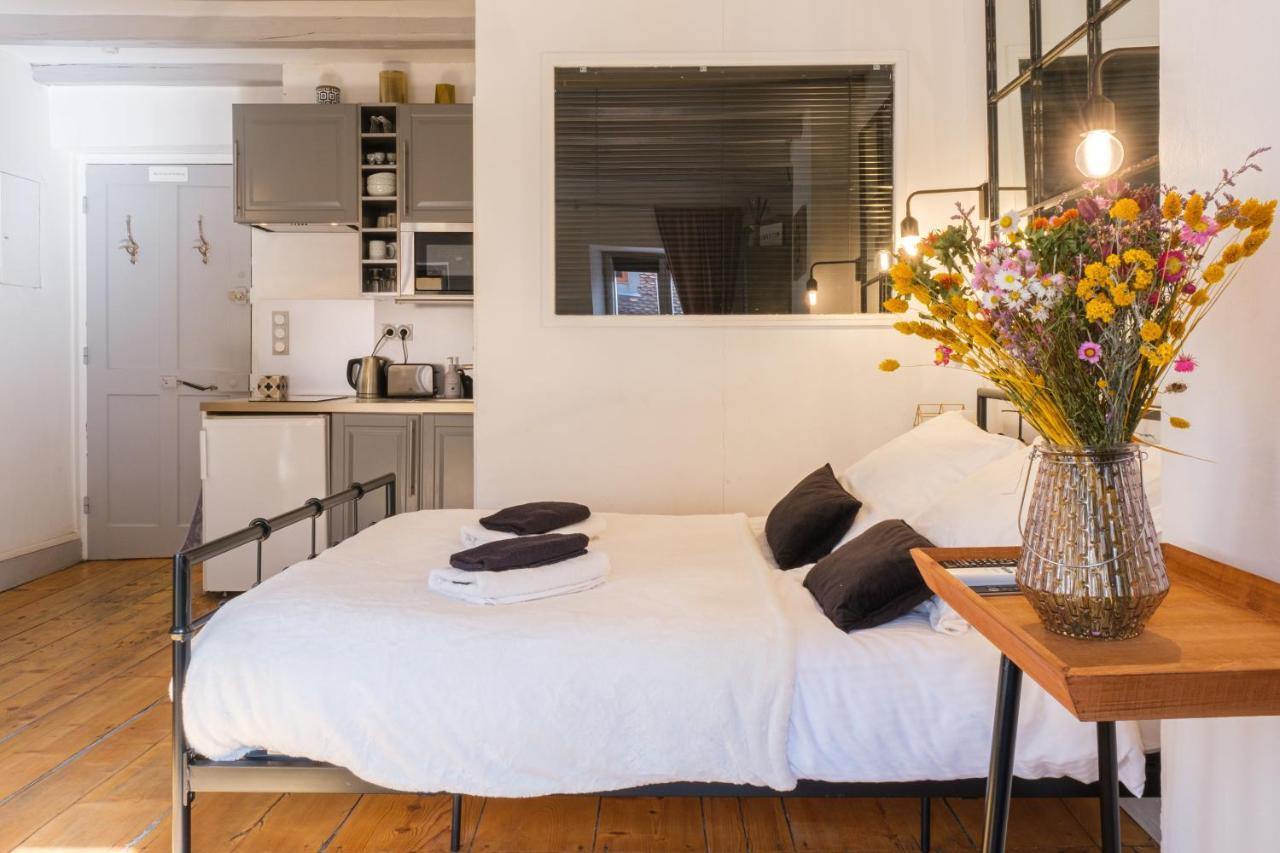 Au Grey D'Annecy, Studio Cosy Au Coeur De La Ville Esterno foto
