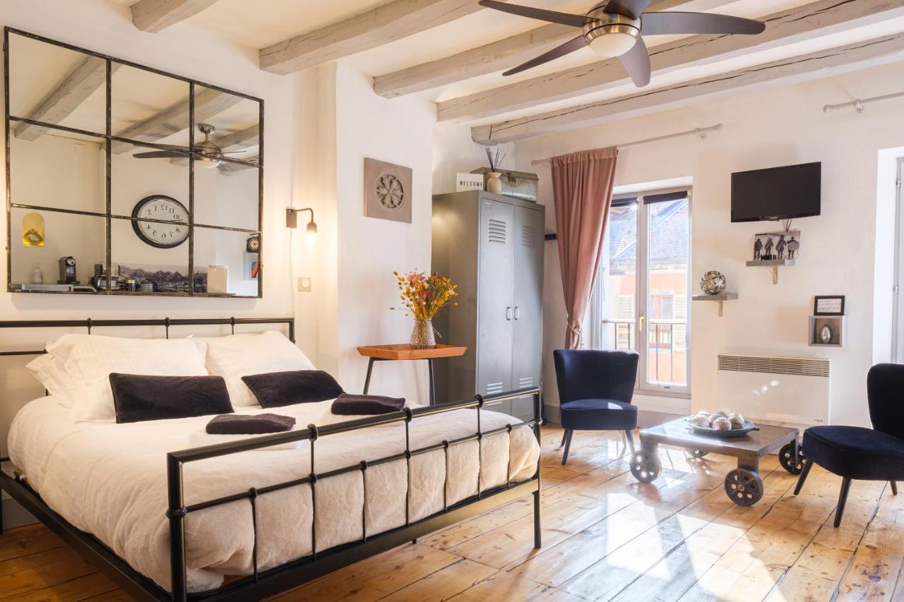 Au Grey D'Annecy, Studio Cosy Au Coeur De La Ville Esterno foto