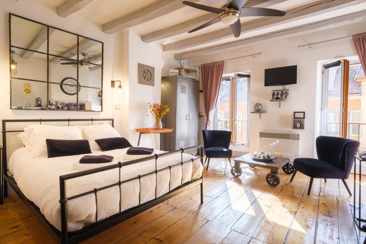 Au Grey D'Annecy, Studio Cosy Au Coeur De La Ville Esterno foto